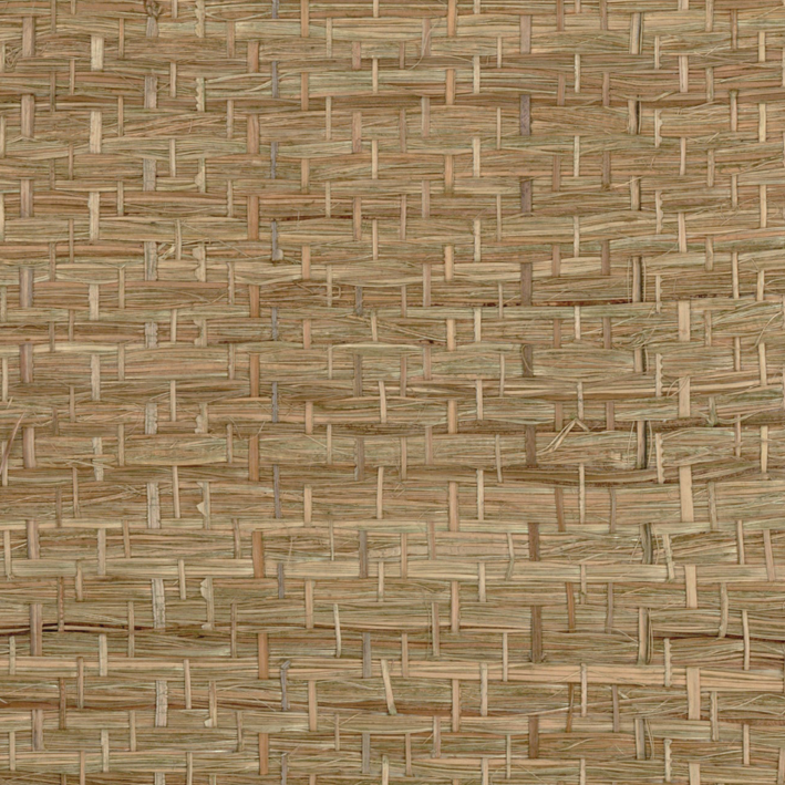 Abaca Herbacé