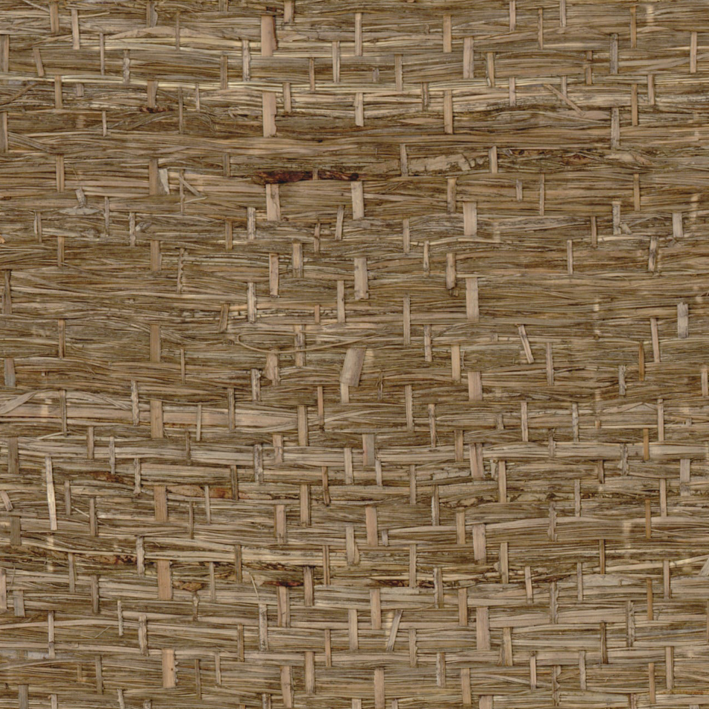 Abaca Herbacé