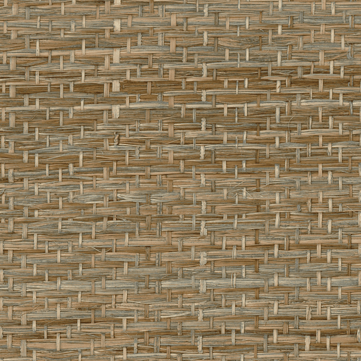 Abaca Herbacé