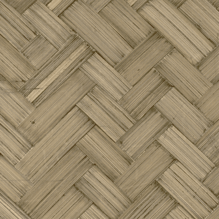 Bambou Grand Chevron