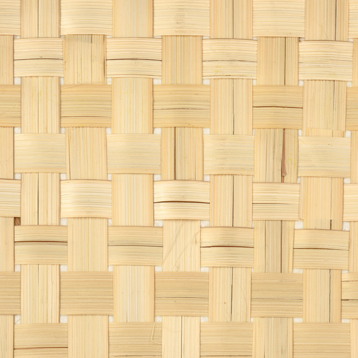 Bambou Canvas
