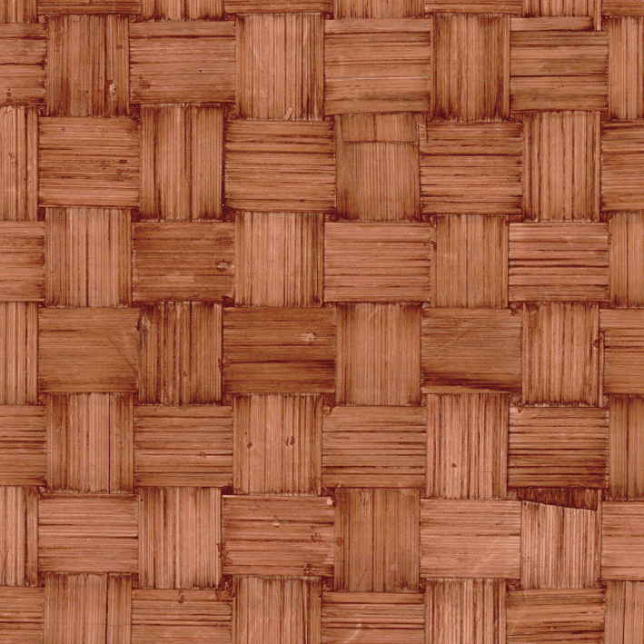 Bambou Canvas