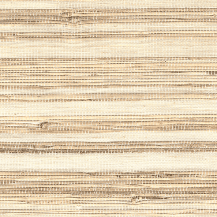 Abaca Écorce