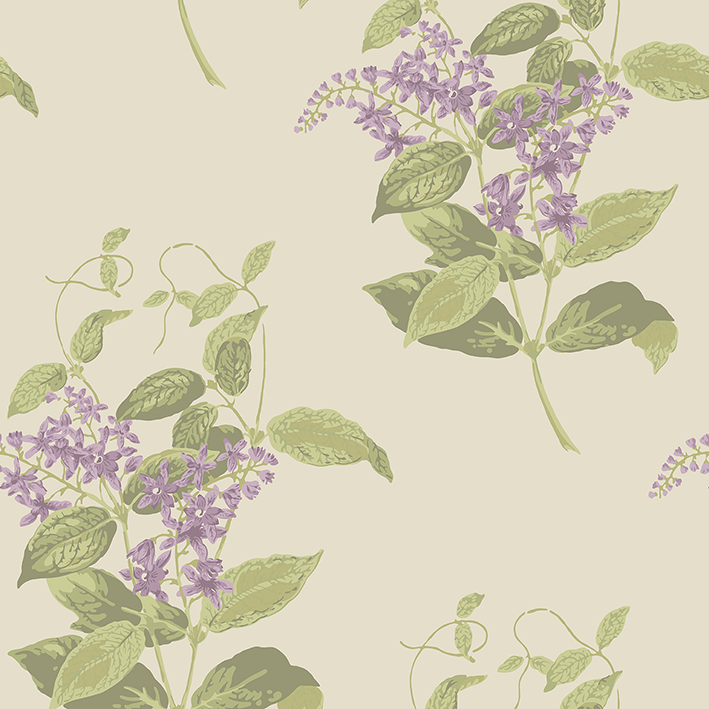 Madras Violet