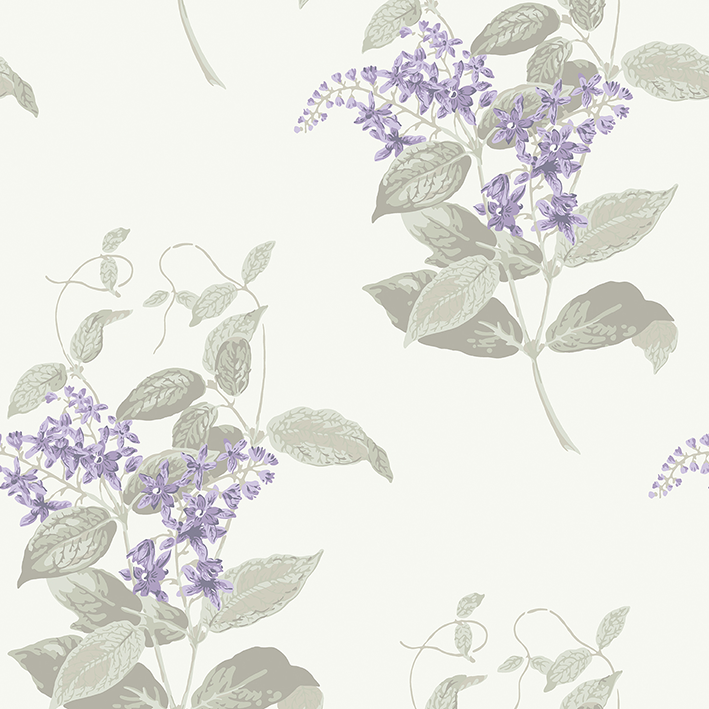 Madras Violet