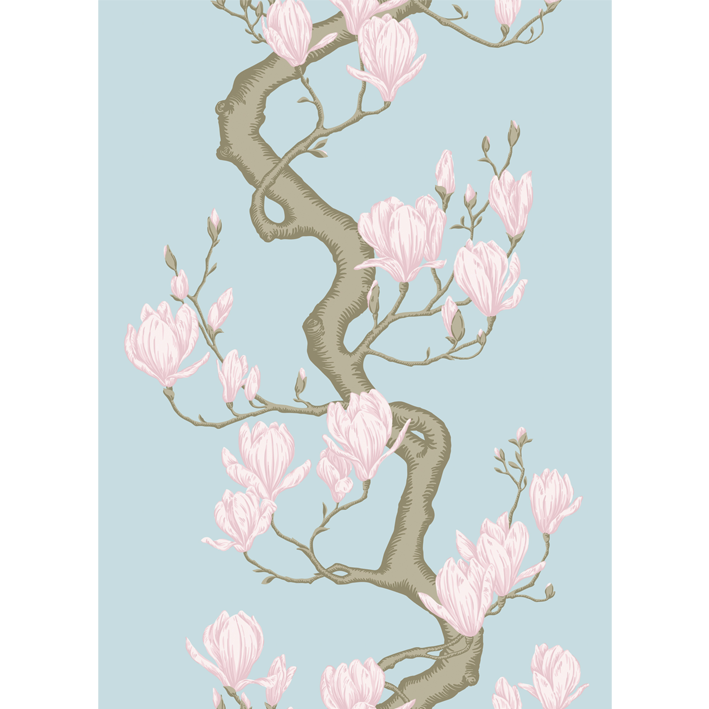Magnolia Tree