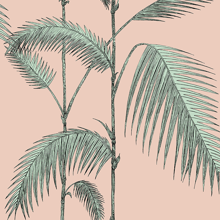 Palm Leaves Icons