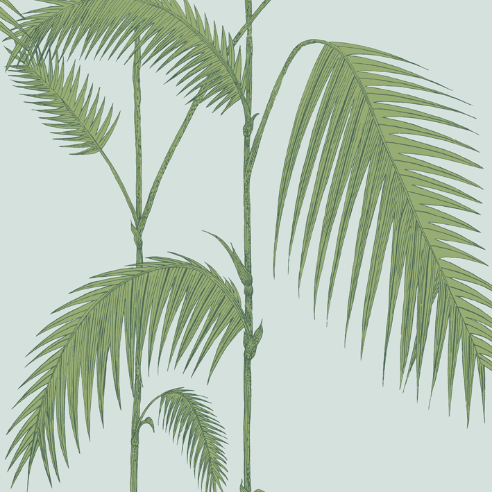 Palm Leaves