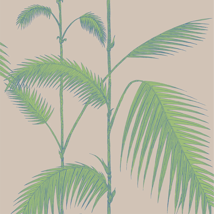 Palm Leaves