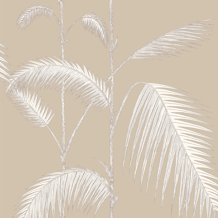 Palm Leaves