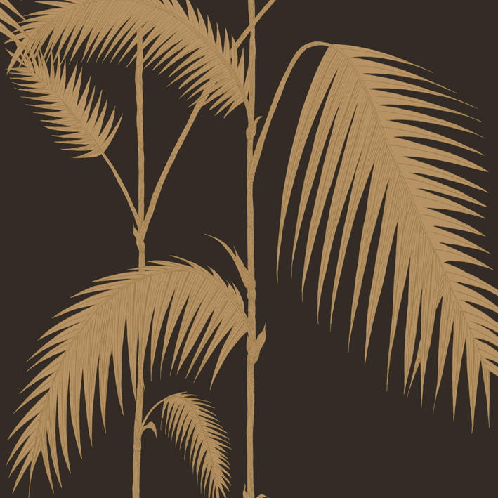 Palm Leaves