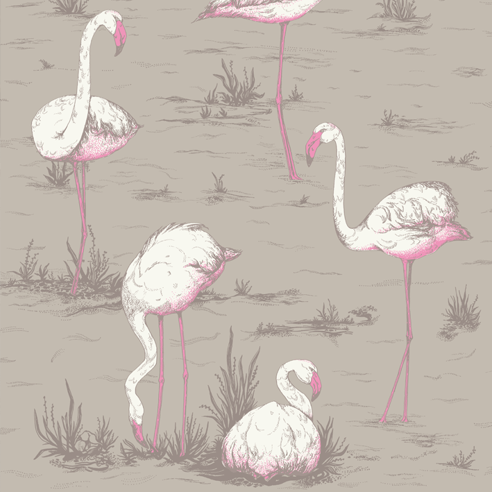 Flamingos