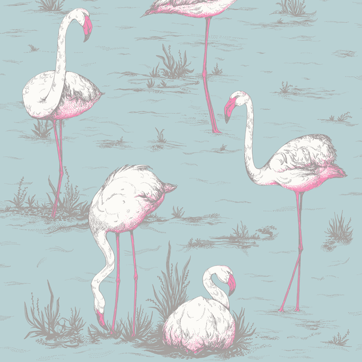 Flamingos