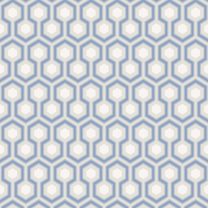 Hicks' Hexagon