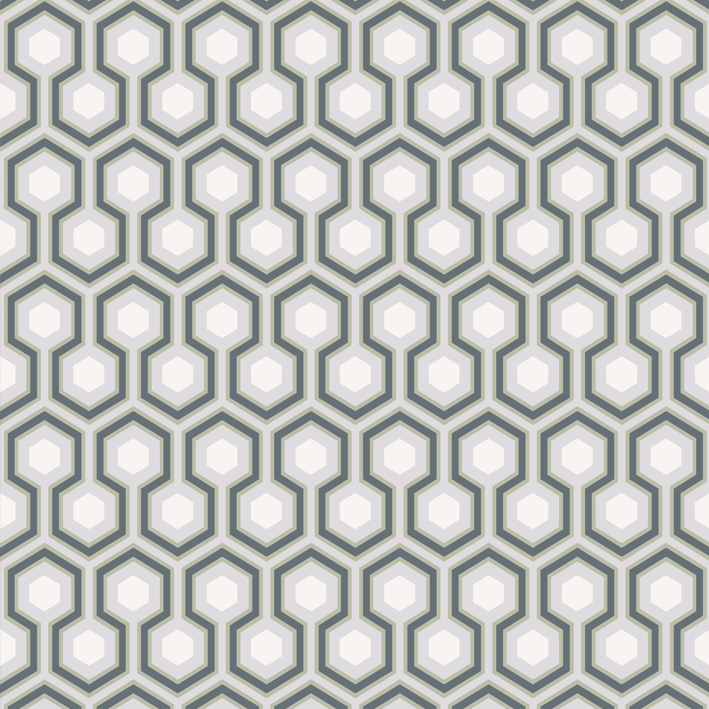 Hicks' Hexagon