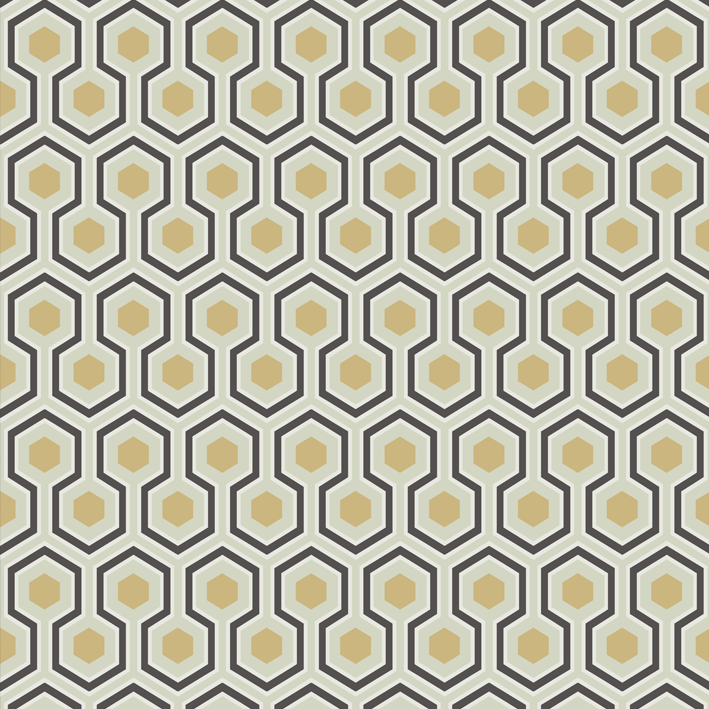 Hicks' Hexagon