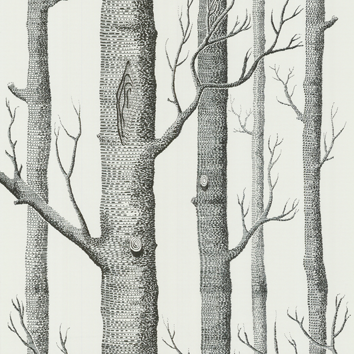 Woods