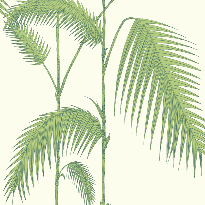 Palm Leaves