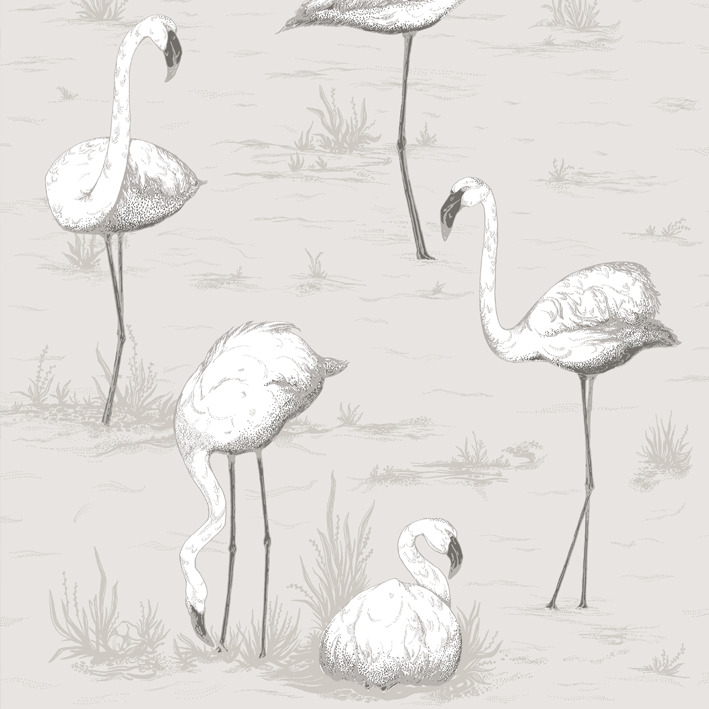 Flamingos