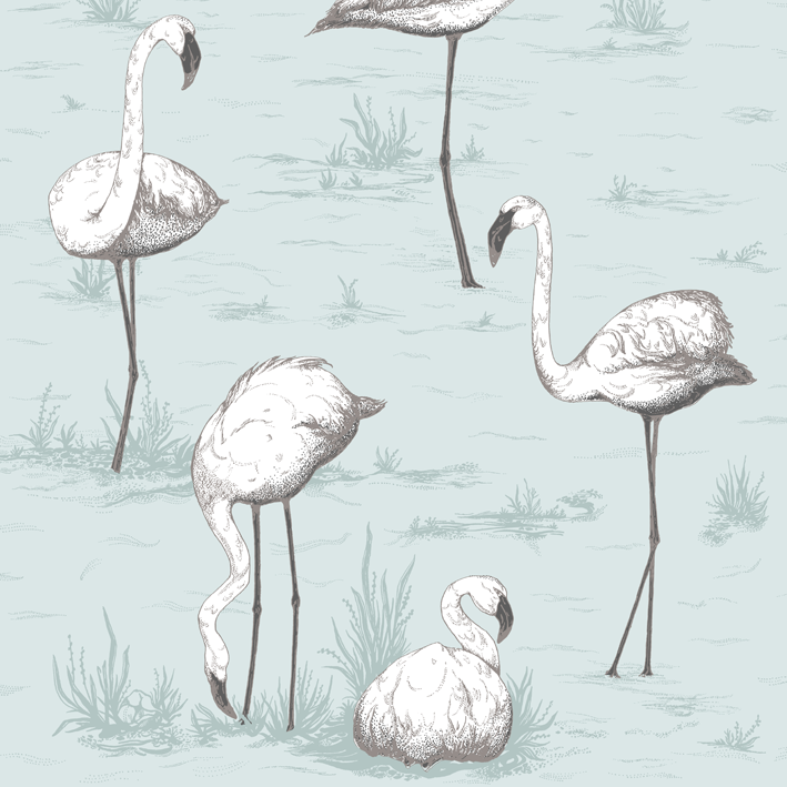 Flamingos