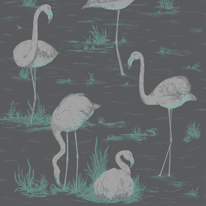 Flamingos