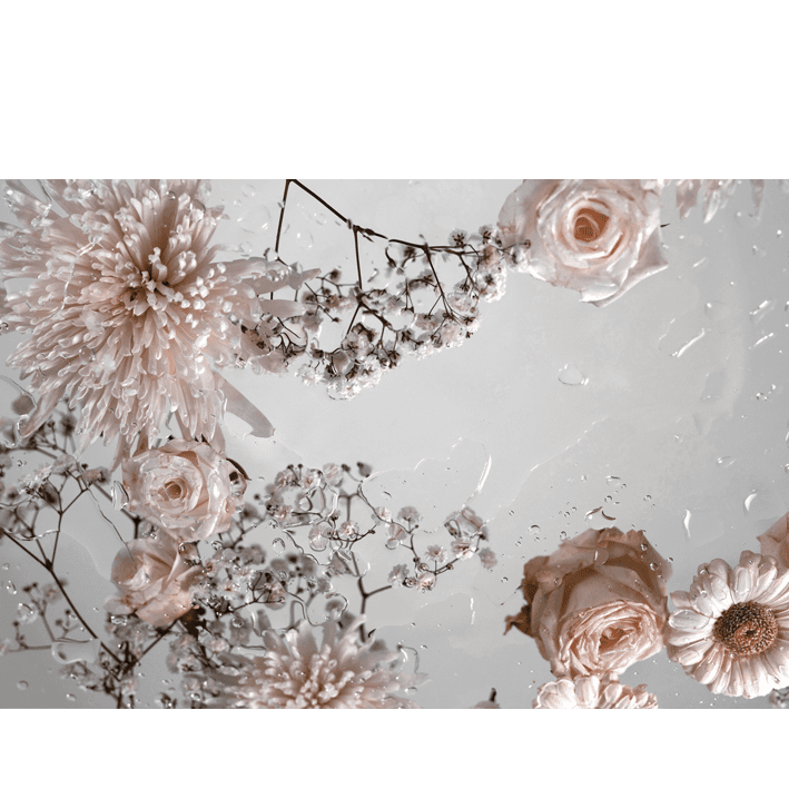 Albus III Vintage Pink