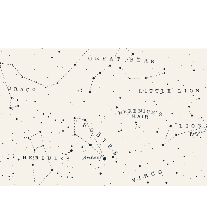 Great Bear Little Lion Cream