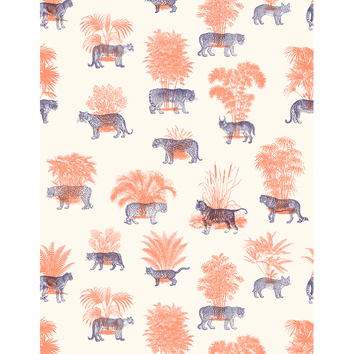 Where They Belong Tropical Duo