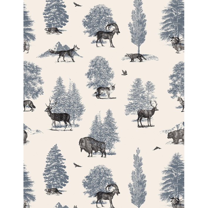 Where They Belong Winter Blue