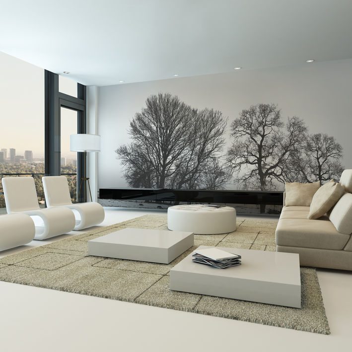 ARBRES NOIR SUR BLANC