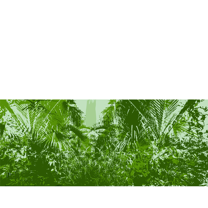 JUNGLE VERTE A