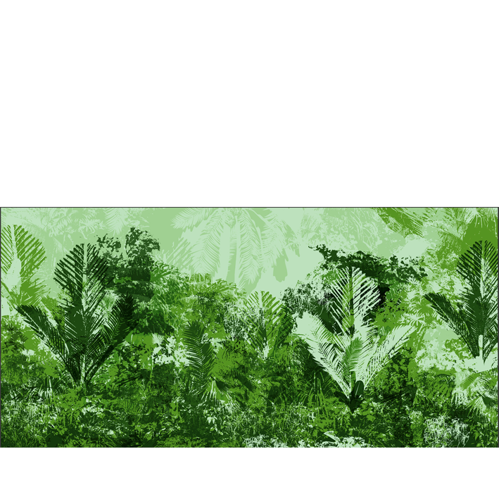 JUNGLE VERTE C