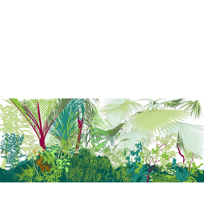 AMAZON WALLPAPER