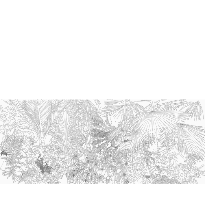 AMAZONE IN BLACK AND WHITE