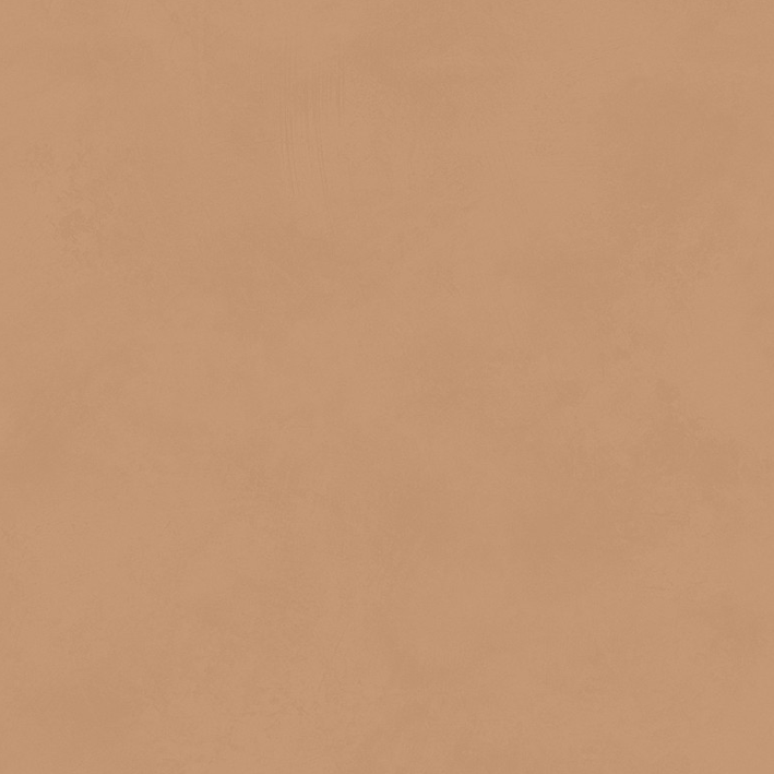 Color Camel