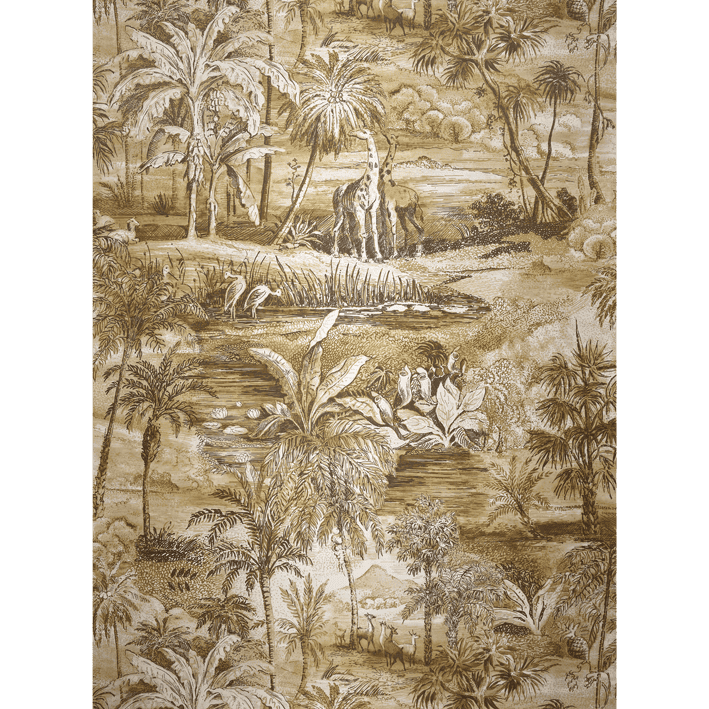 SAFARI