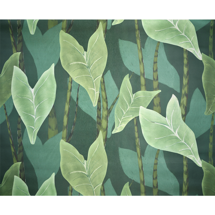 Monstera