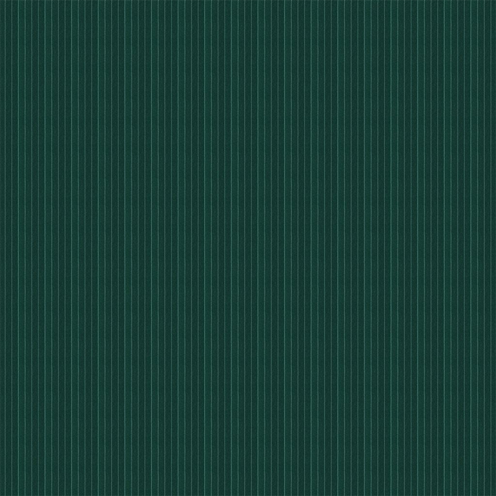 Tournament Stripe