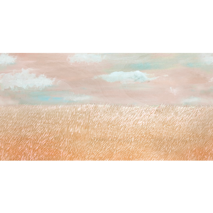 IL COLORE DEL GRANO