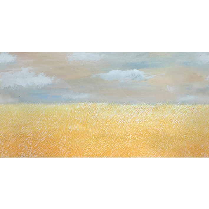 IL COLORE DEL GRANO
