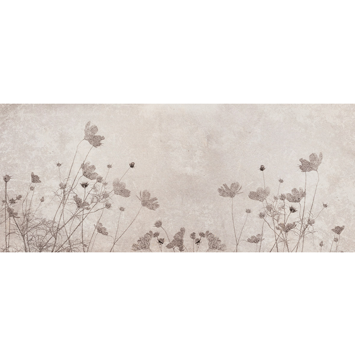BOTANY STORIES